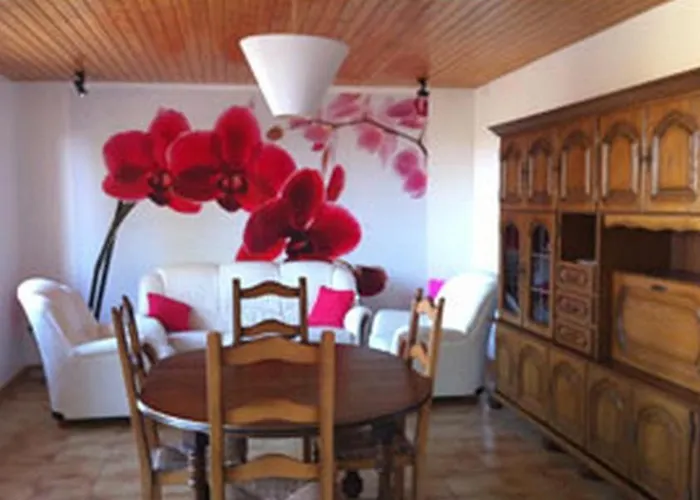 Les Hauts De Lastours * Belves